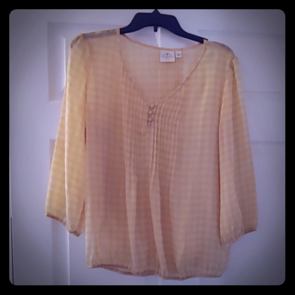 Beautiful Sheer Blouse
